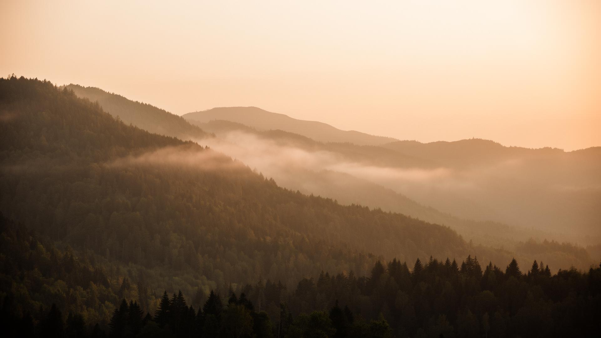 Mist over forested mountains at golden hour
